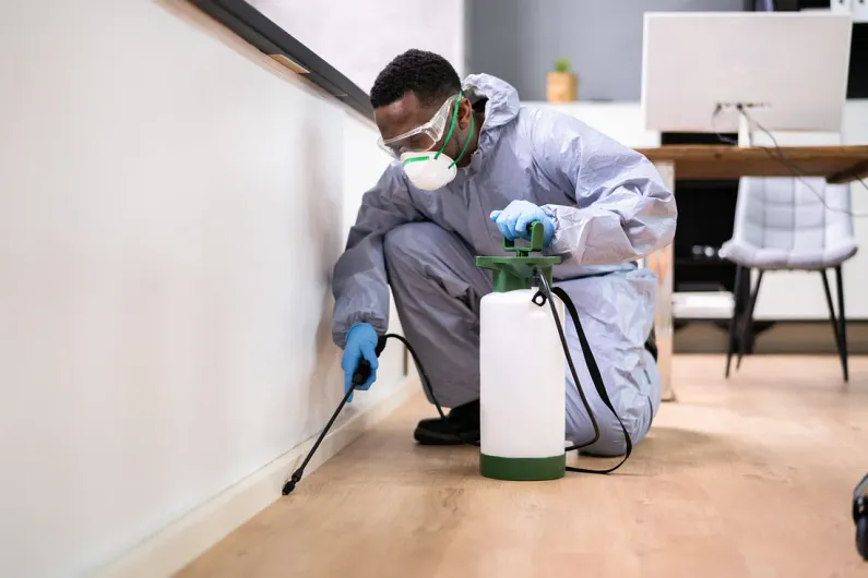 person fumigating floor